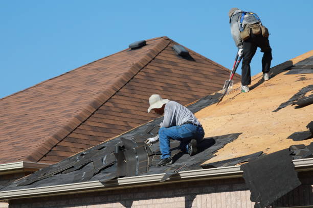 Best Metal Roofing Installation  in Oak View, CA