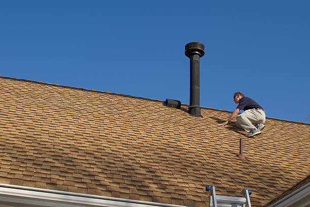 Best Skylight Installation and Repair  in Oak View, CA